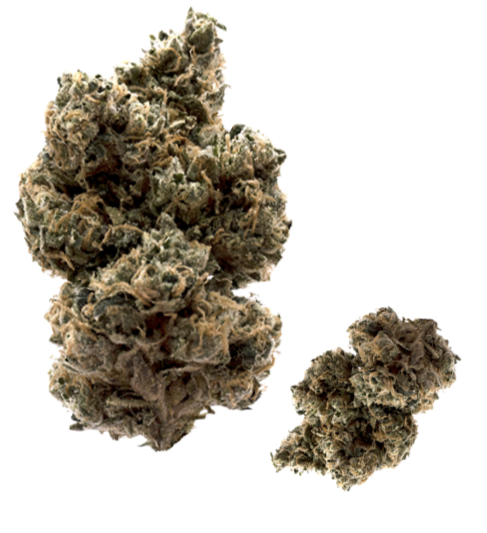 ROAM Dispensary cannabis flower bud